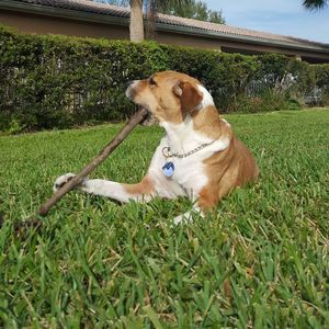 Meet your Posher, Cheryl